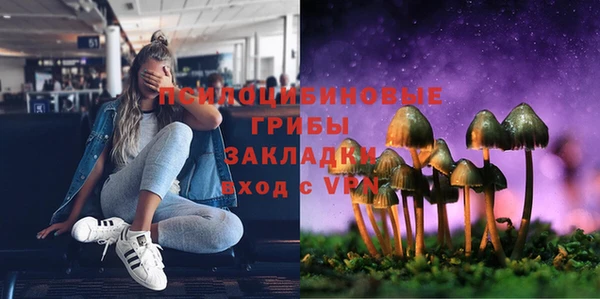 эйфоретик Надым